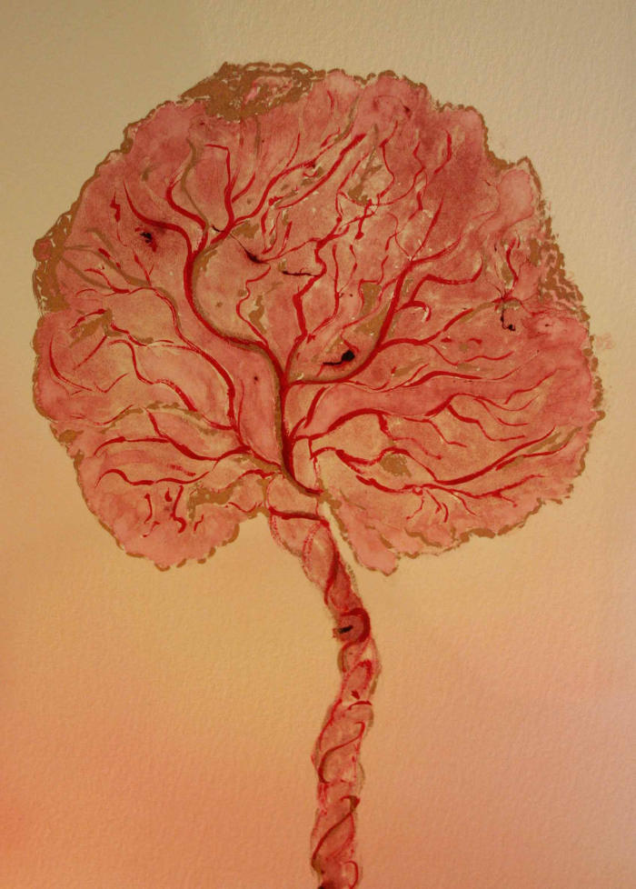Blog placenta tree of life export
